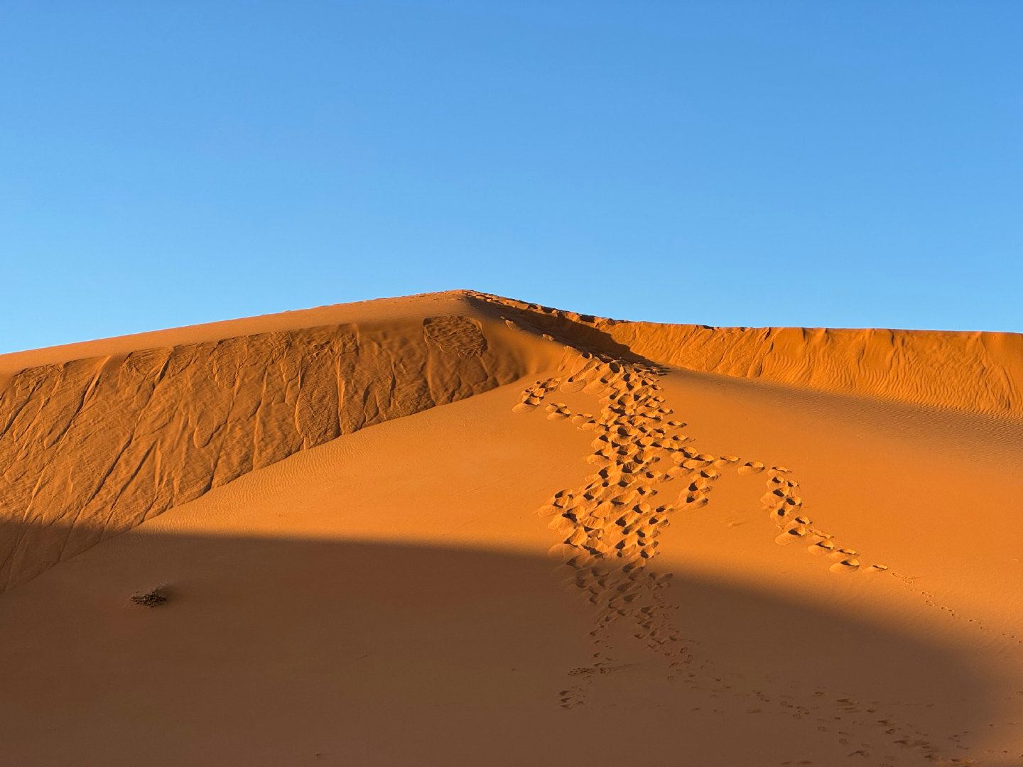 Morocco private desert tours